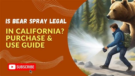 Bear Spray Legal in California: A Tangential Discussion on Wilderness Safety and Urban Preparedness