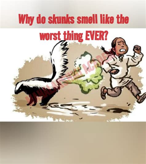 Does Skunk Smell Like Burnt Rubber? And Why Do Some People Think Pineapples Are Spiky Cats?