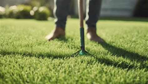 What Fertilizer for Bermuda Grass: Exploring the Green Mysteries of Lawn Care