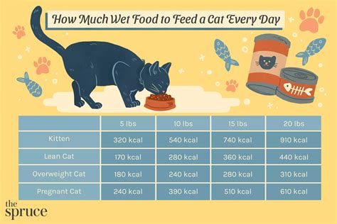 When Can I Feed My Cat Adult Food: A Journey Through Feline Nutrition and Beyond